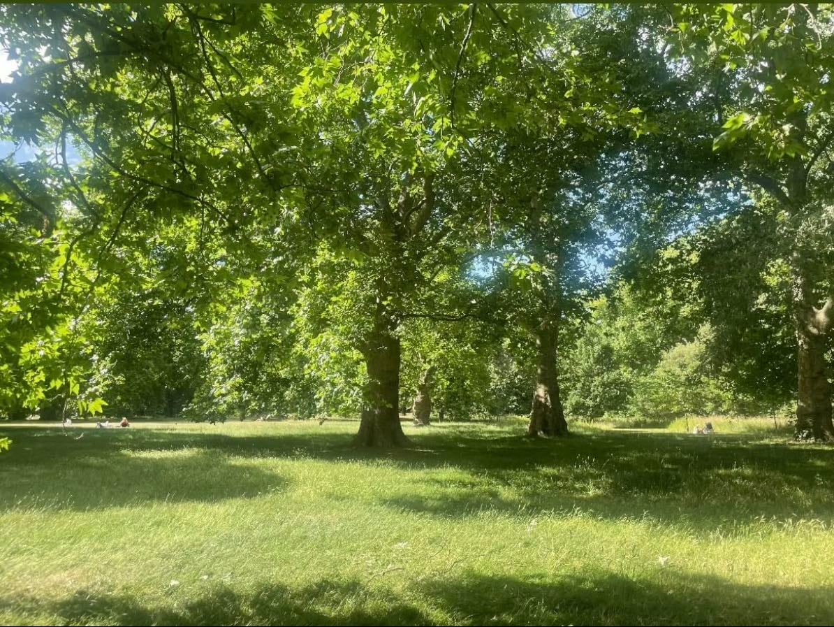 park outings - β€οΈβ parks near you