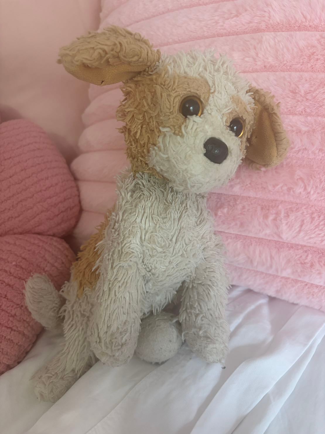 Cute Doggy - ♡ ♡
