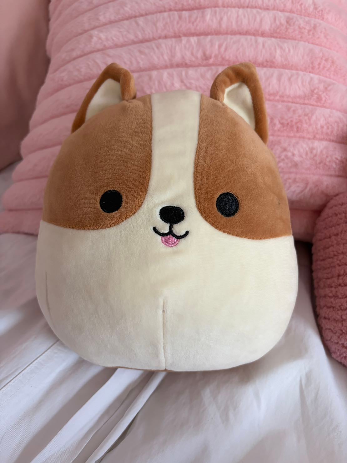 Fat Corgi