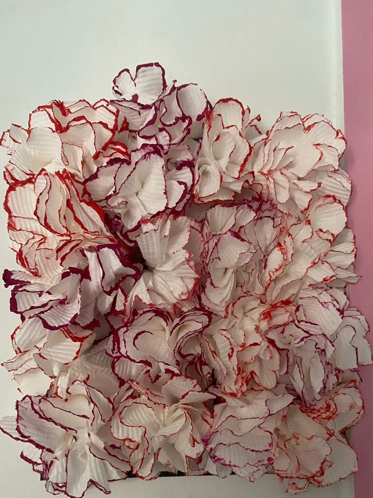 Tissue Flower wall