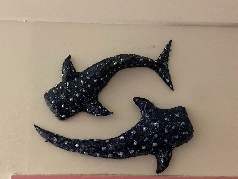 Whale Sharks