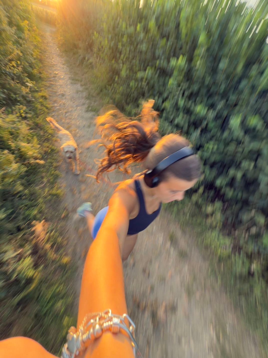 Sporten