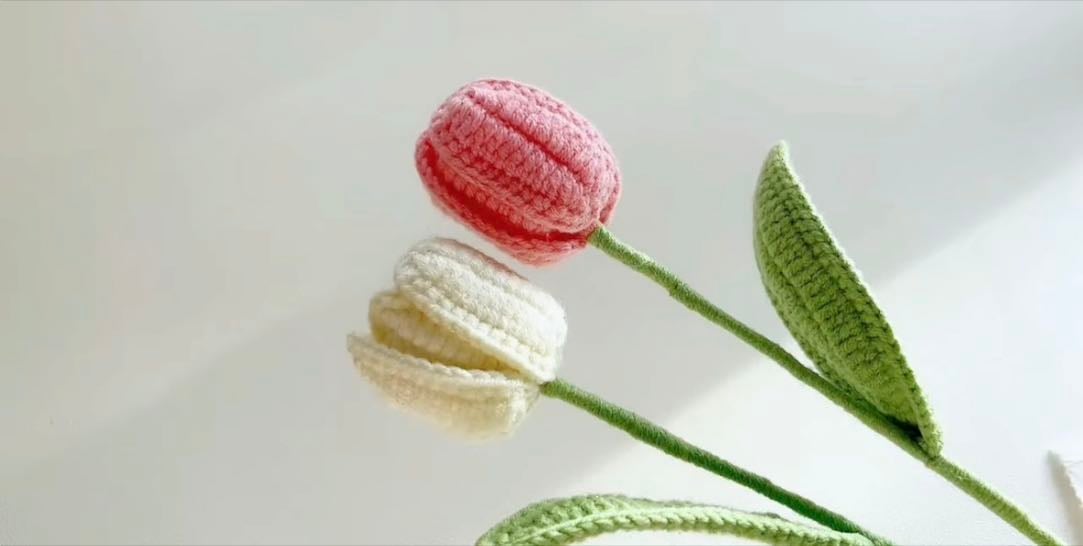 Tulip