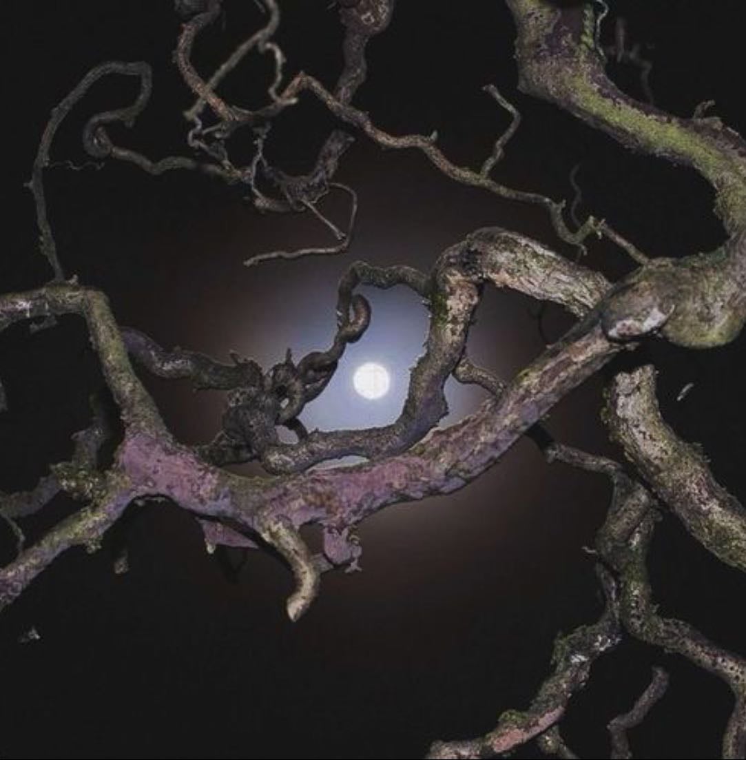 Rituals for remembering our roots and returning to them - Other hypelist by Ayesha