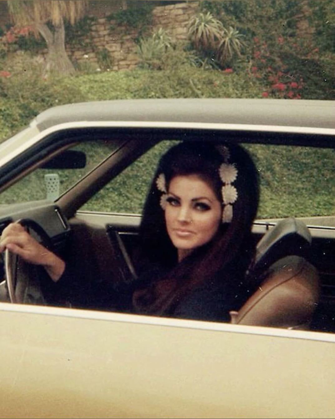 Priscilla Presley