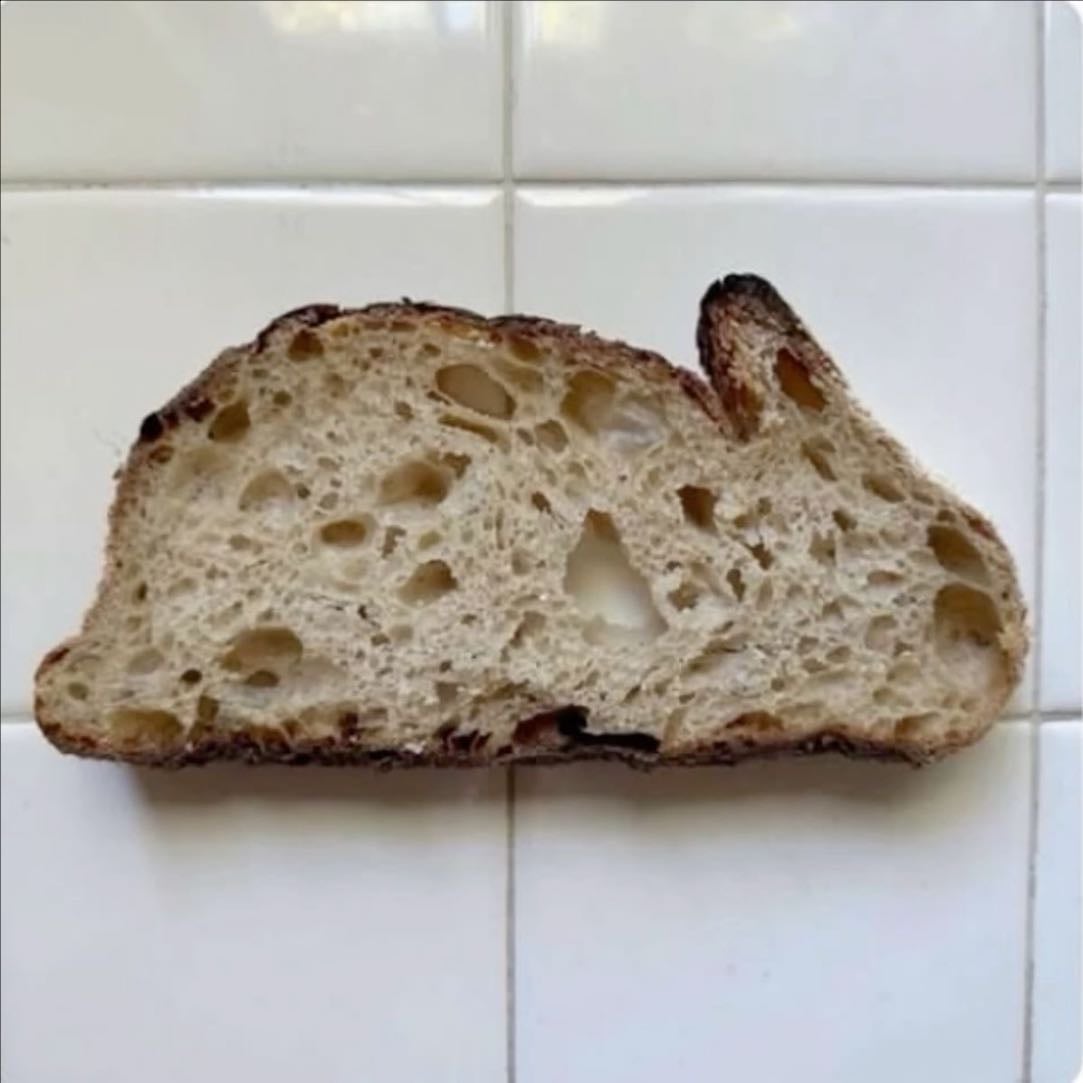 sourdough bread - bestie put me on ^^