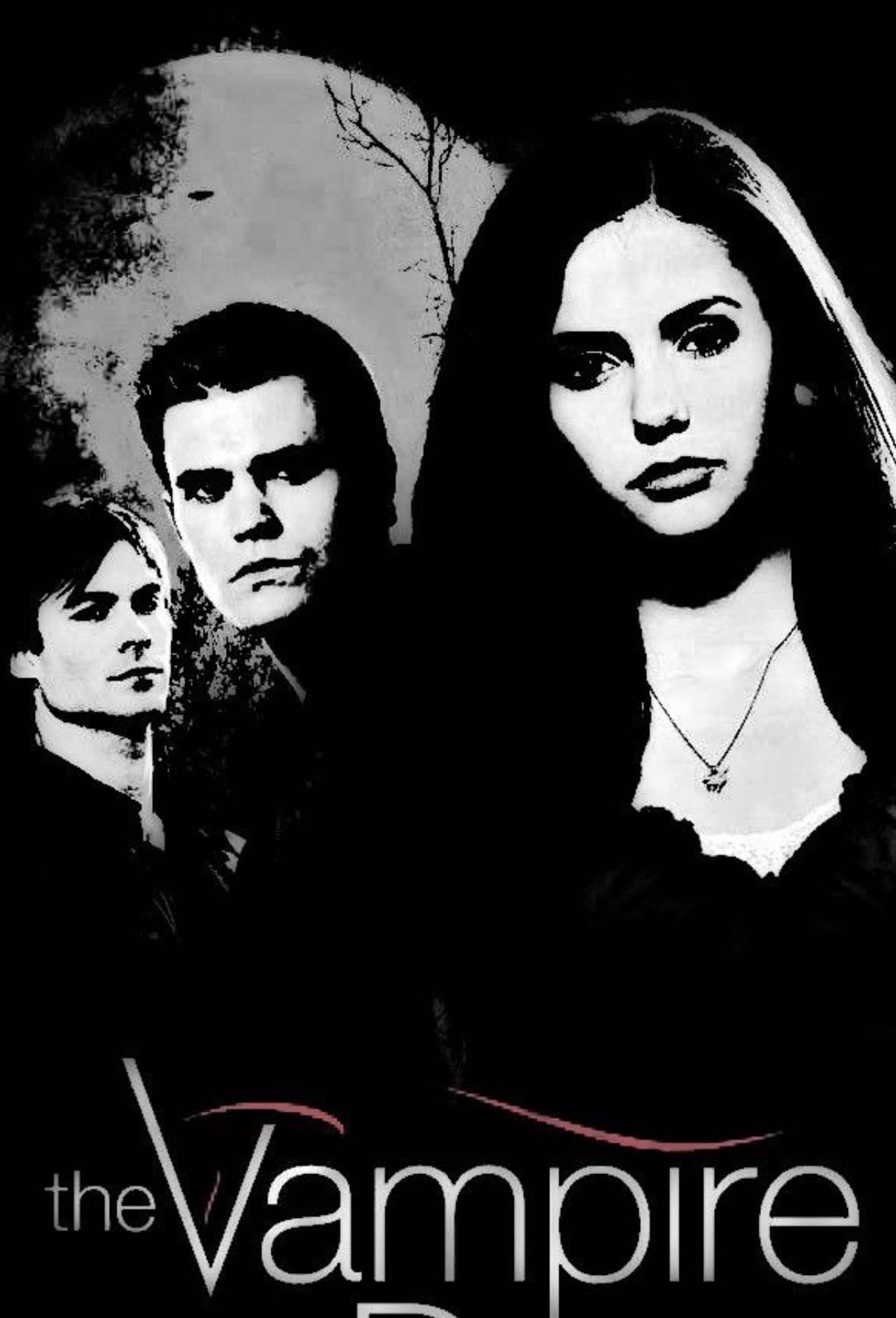 𝓣he vampire diaries