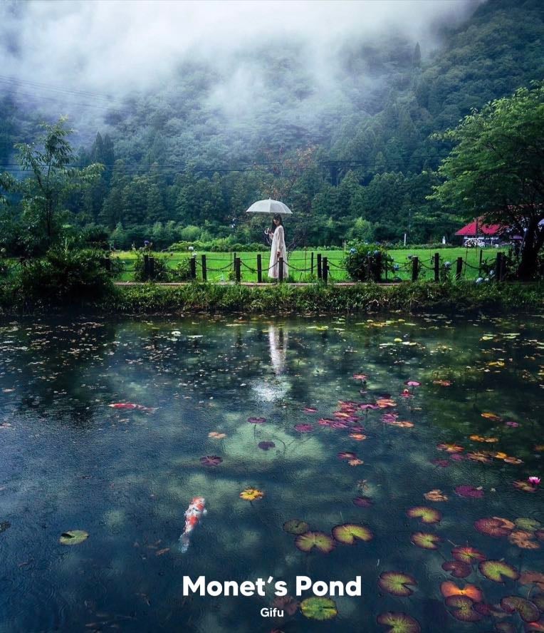 Monet's Pond - モネの池