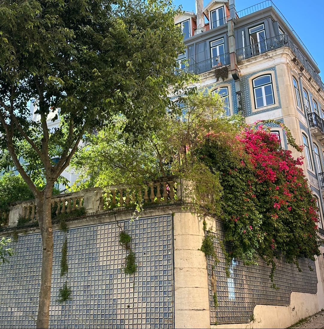 SHOPPING 馃搷 LISBOA - Places hypelist by nora 馃Β