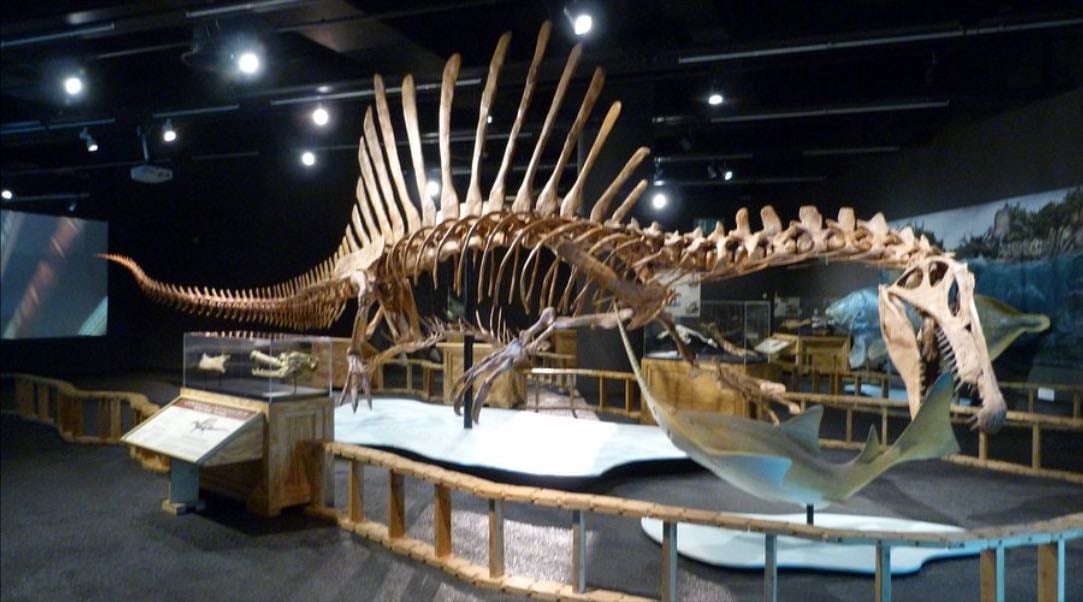Museu de Ciències Naturals de Barcelona