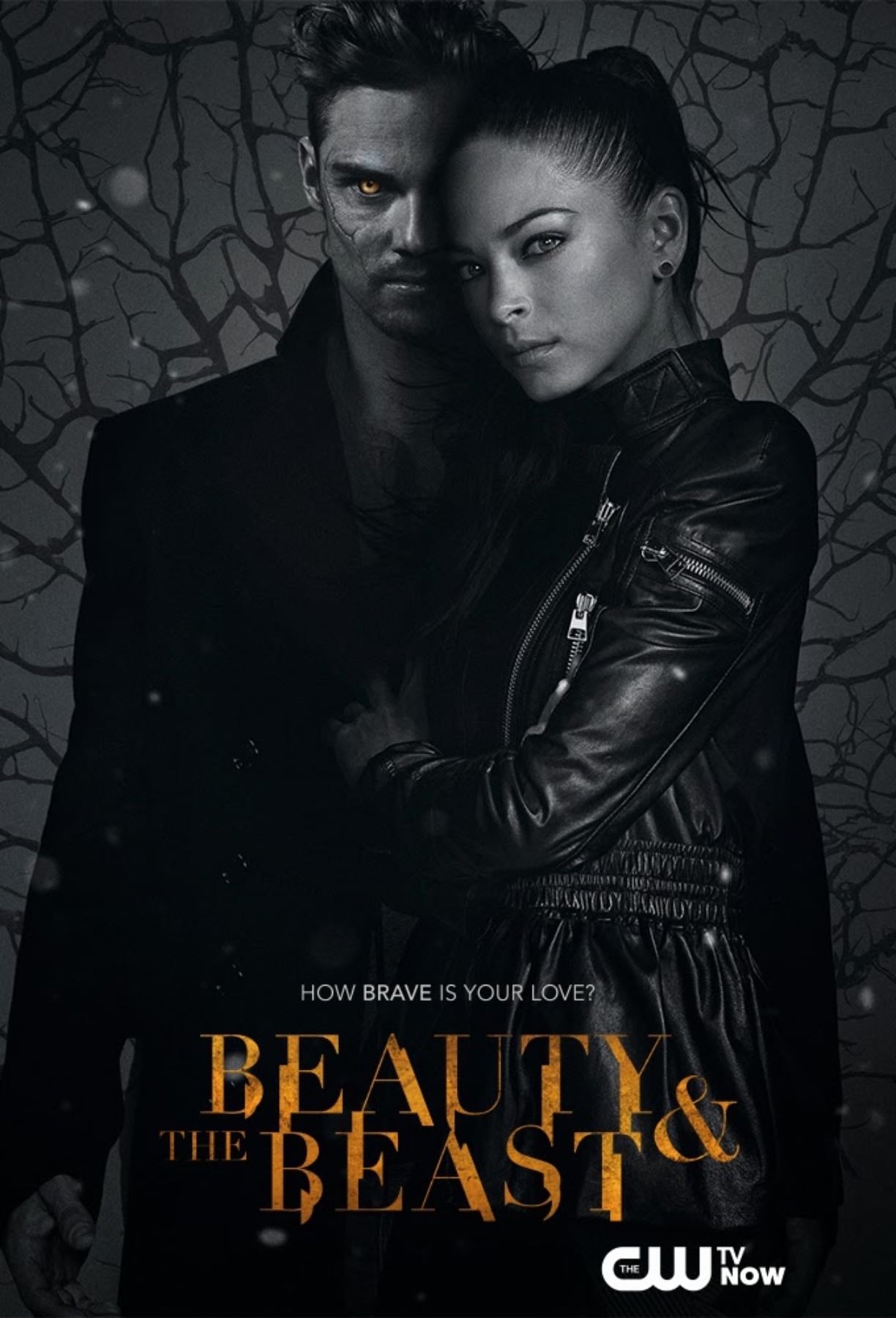 Beauty & the Beast, Season 2 - Jennifer Levin • 2013