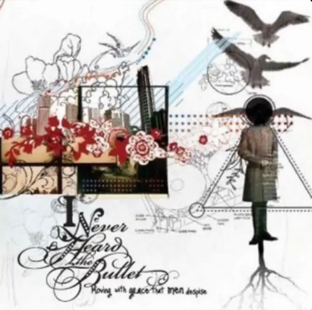 Distance Makes The Heart Grow - Song · I Never Heard The Bullet
