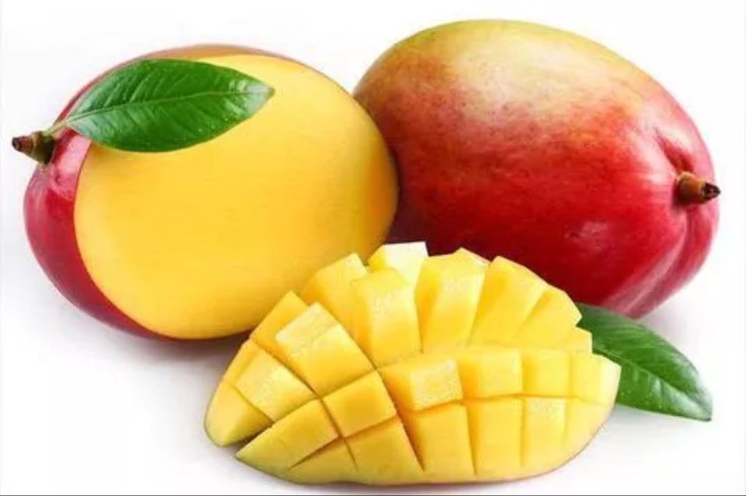 Manga - nossas frutas são 10/10