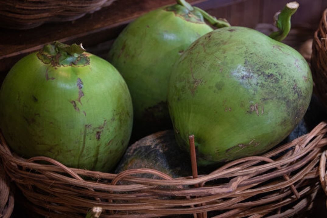 água de coco