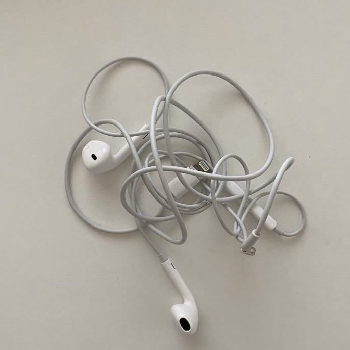 Earphones