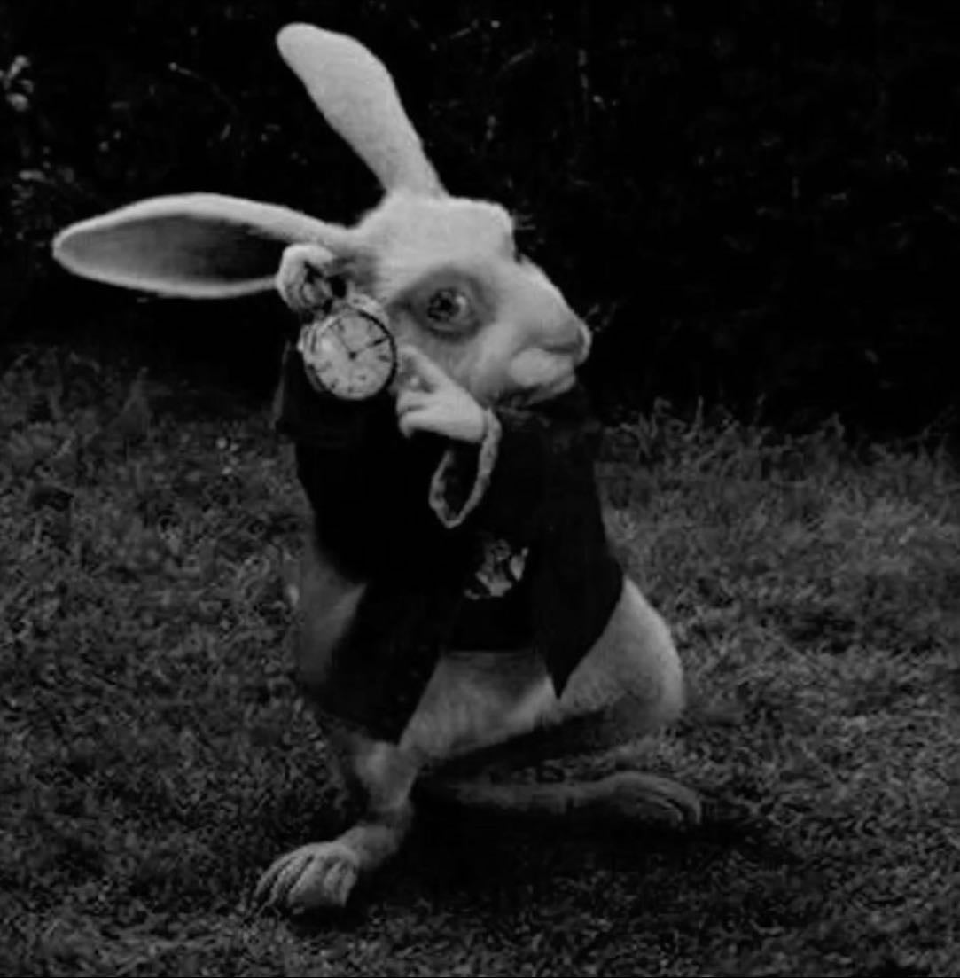 my socials (with urls) - Links hypelist by πΏvπππΎπΒ°ββ.ΰ³ΰΏ*:ο½₯