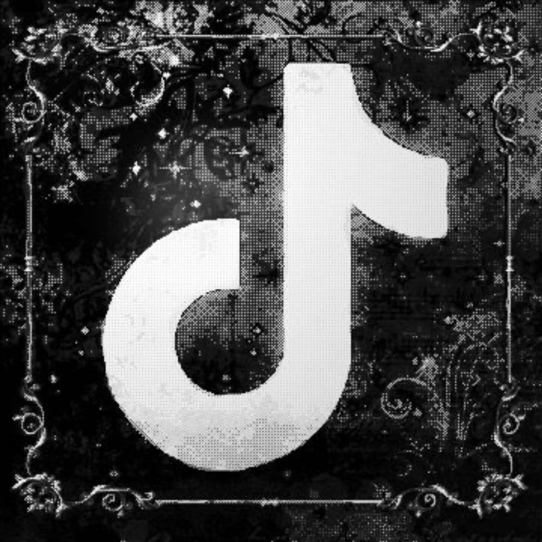TikTok - @lvttiesdiary