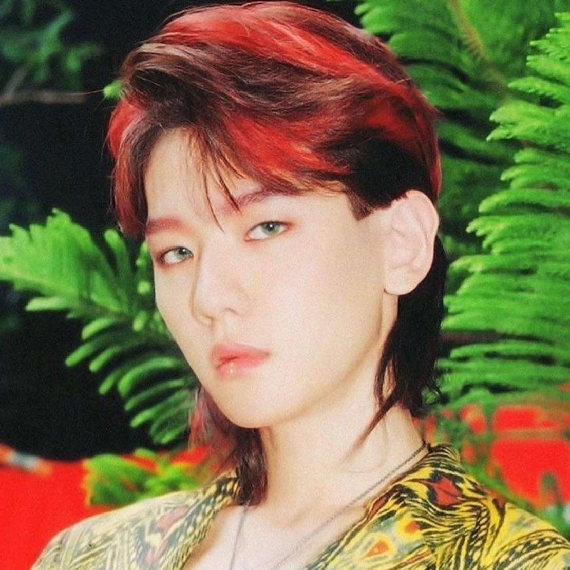 BAEKHYUN - Artist