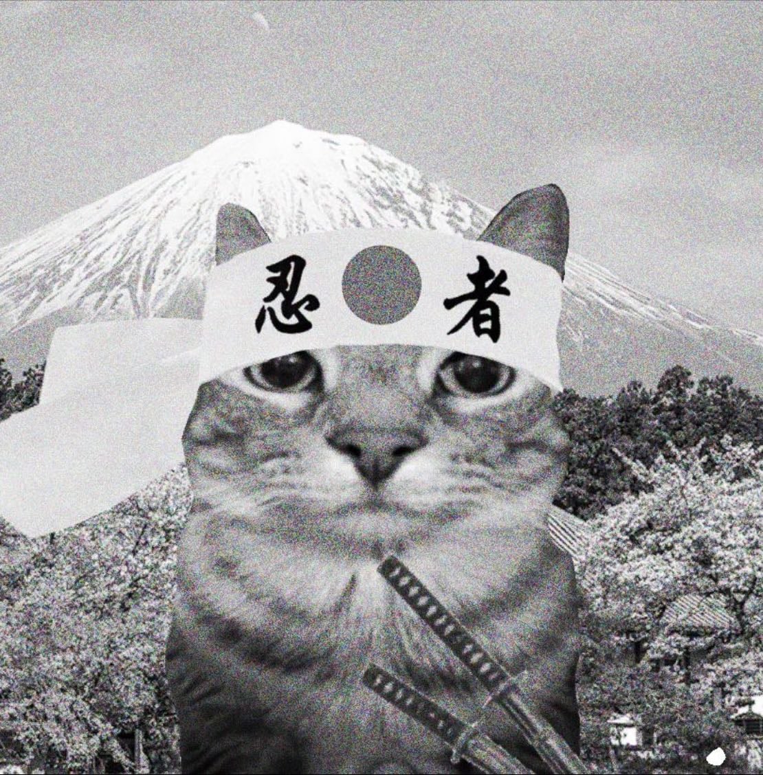 Japan ‘27 - Places hypelist by bibi