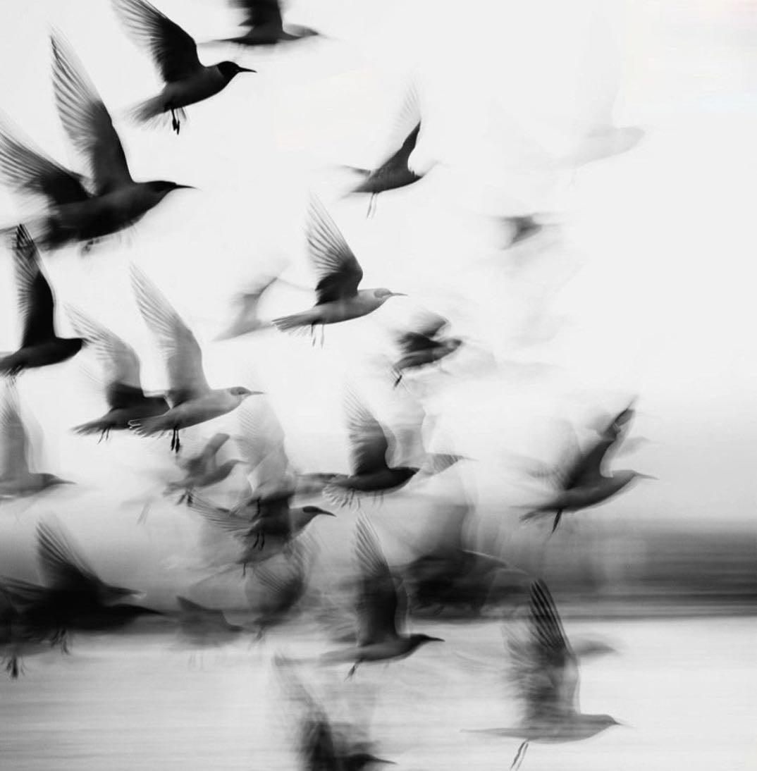 Dreams for 2025 ! Xx - Other hypelist by Ella x