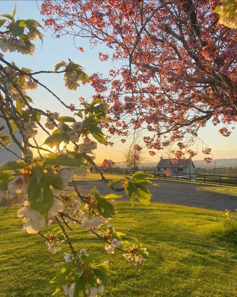 Spring
