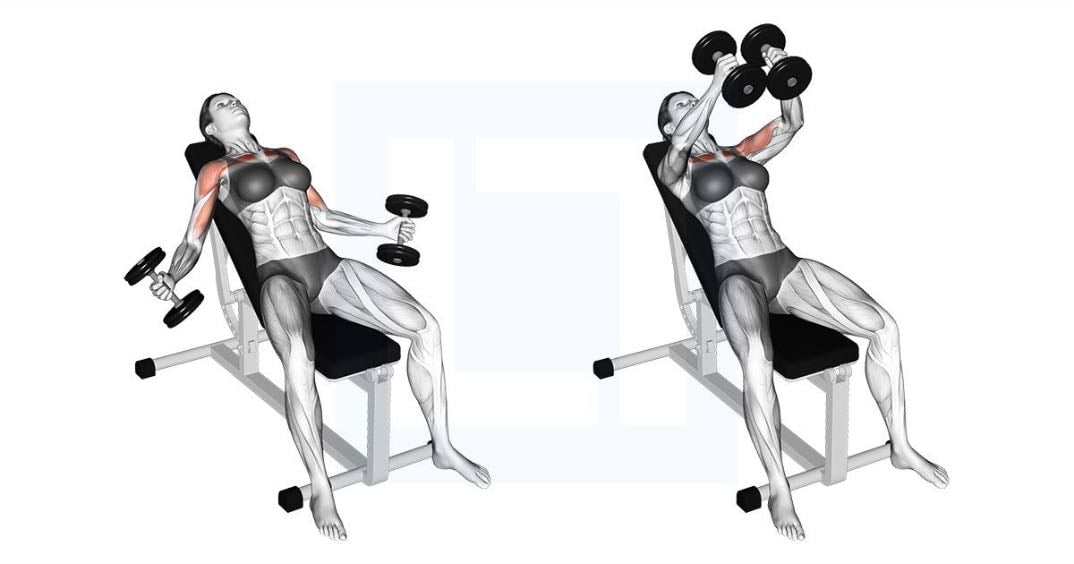 incline dumbbell chest flies