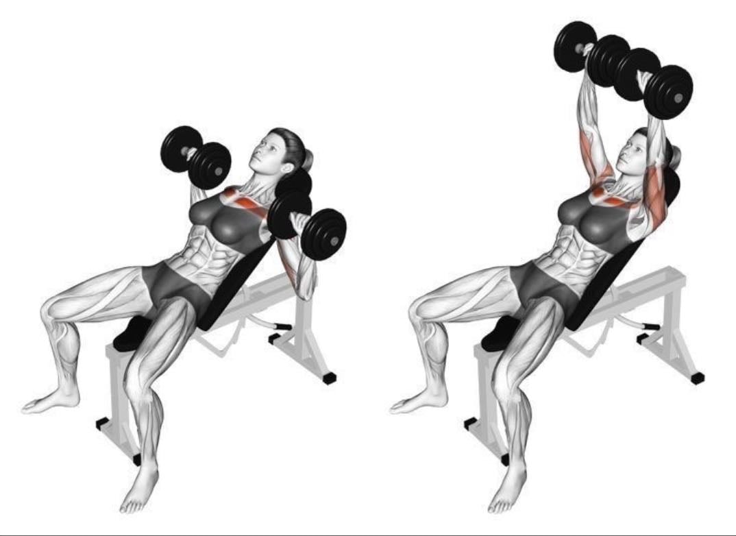 incline chest press