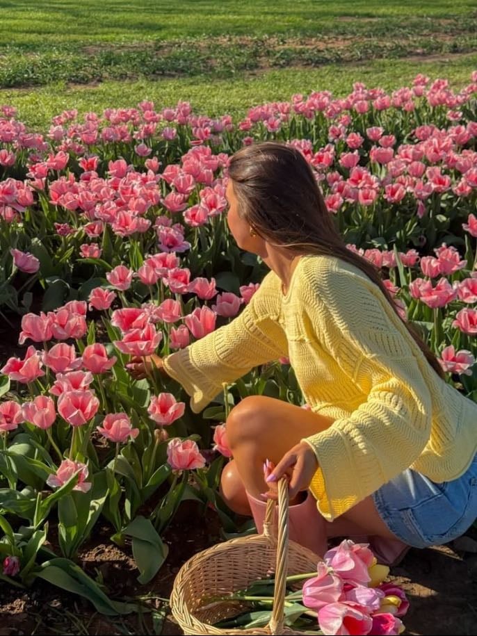 Plocka blommor