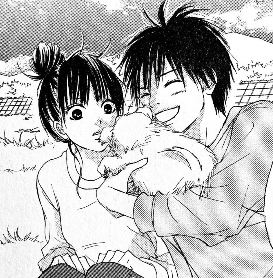 animes
