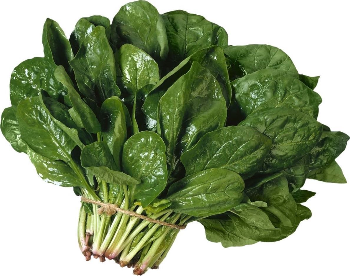 Espinaca