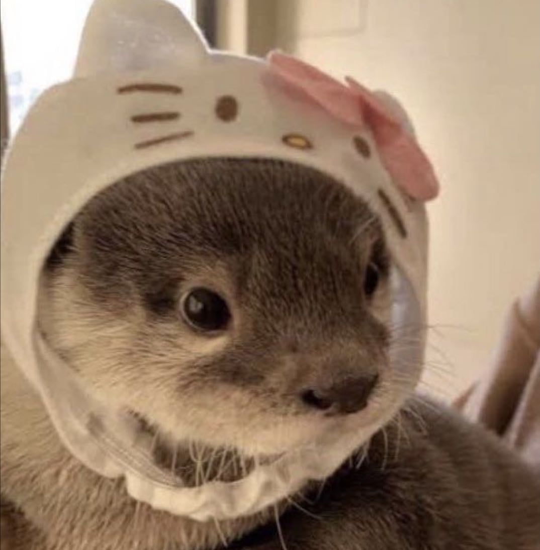 animals i'd love to have