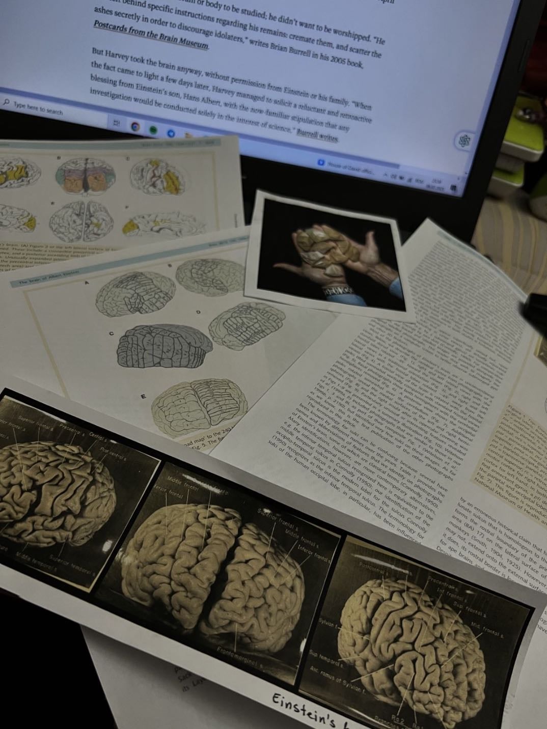 neuroscience