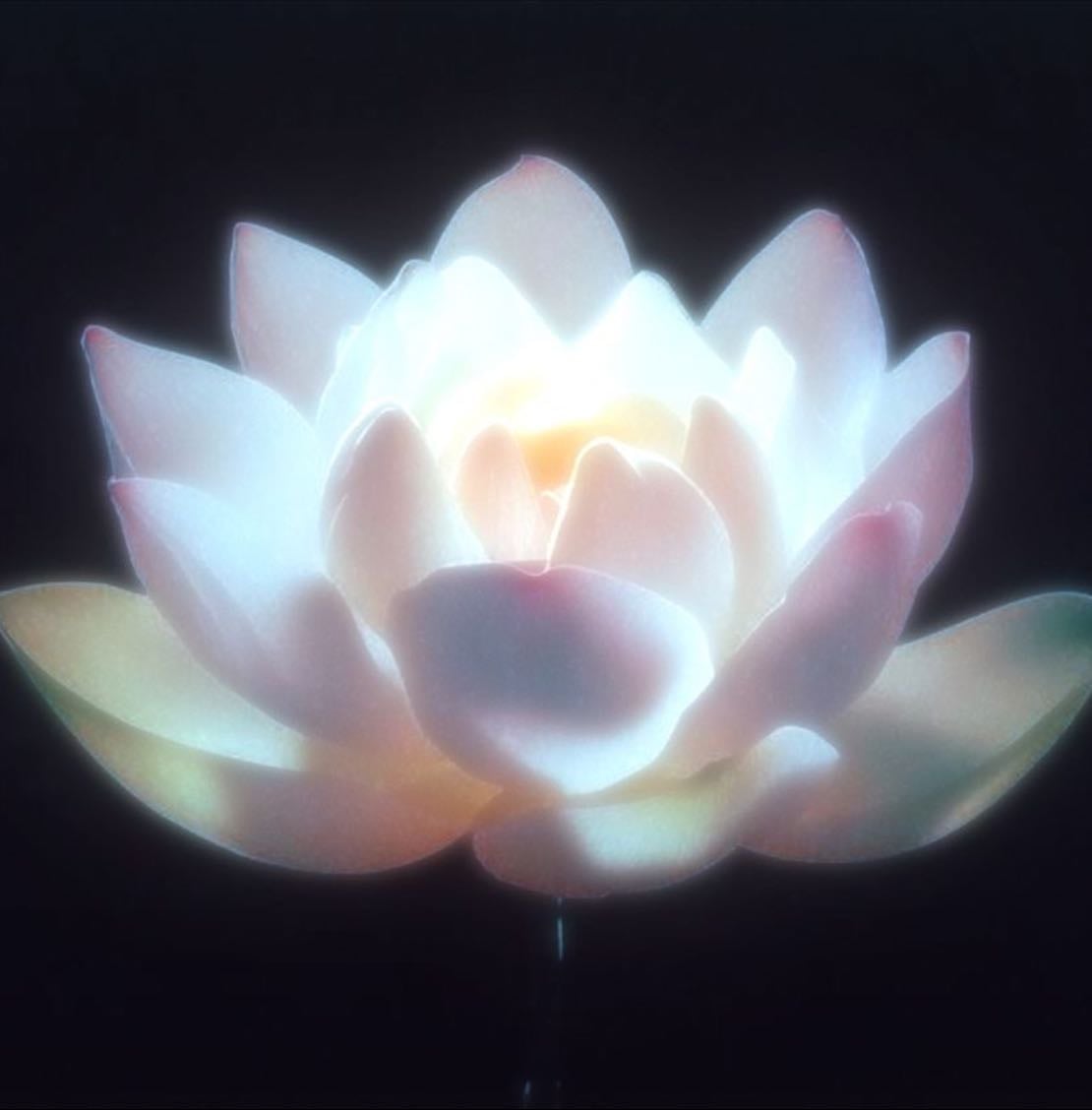 curating my existence - Other hypelist by Sophia Marion