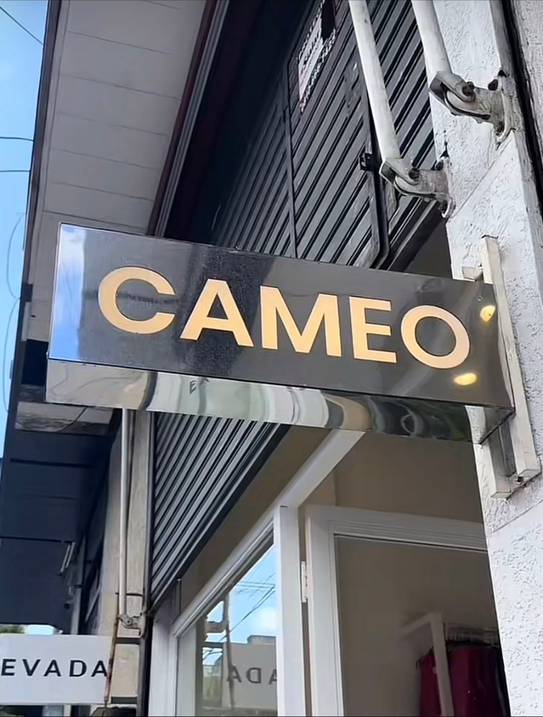 Cameo - aranguren 3010