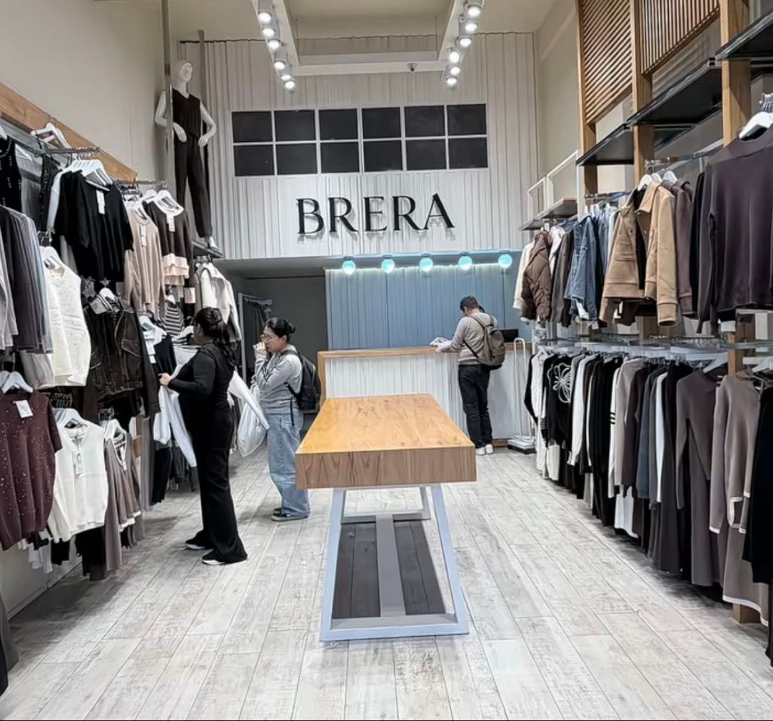 Brera - cuenca 486