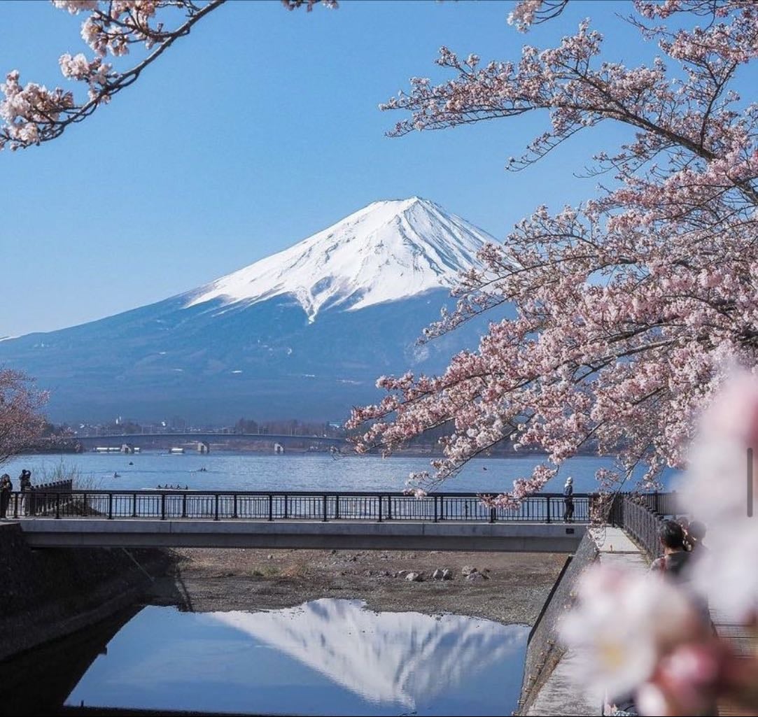 Visiting Japan