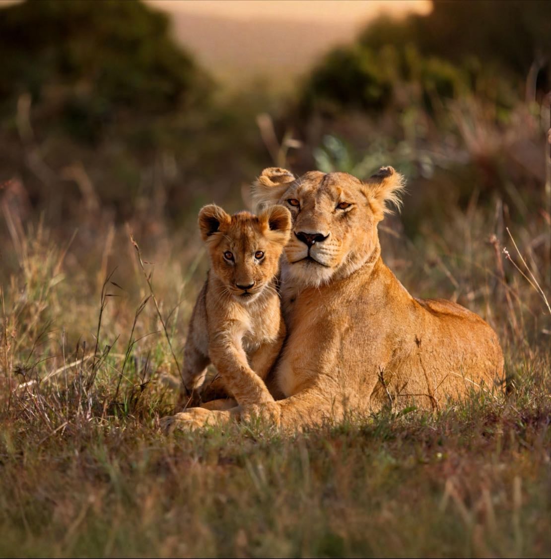 The best of South Africa - Places hypelist by Harrington Moss