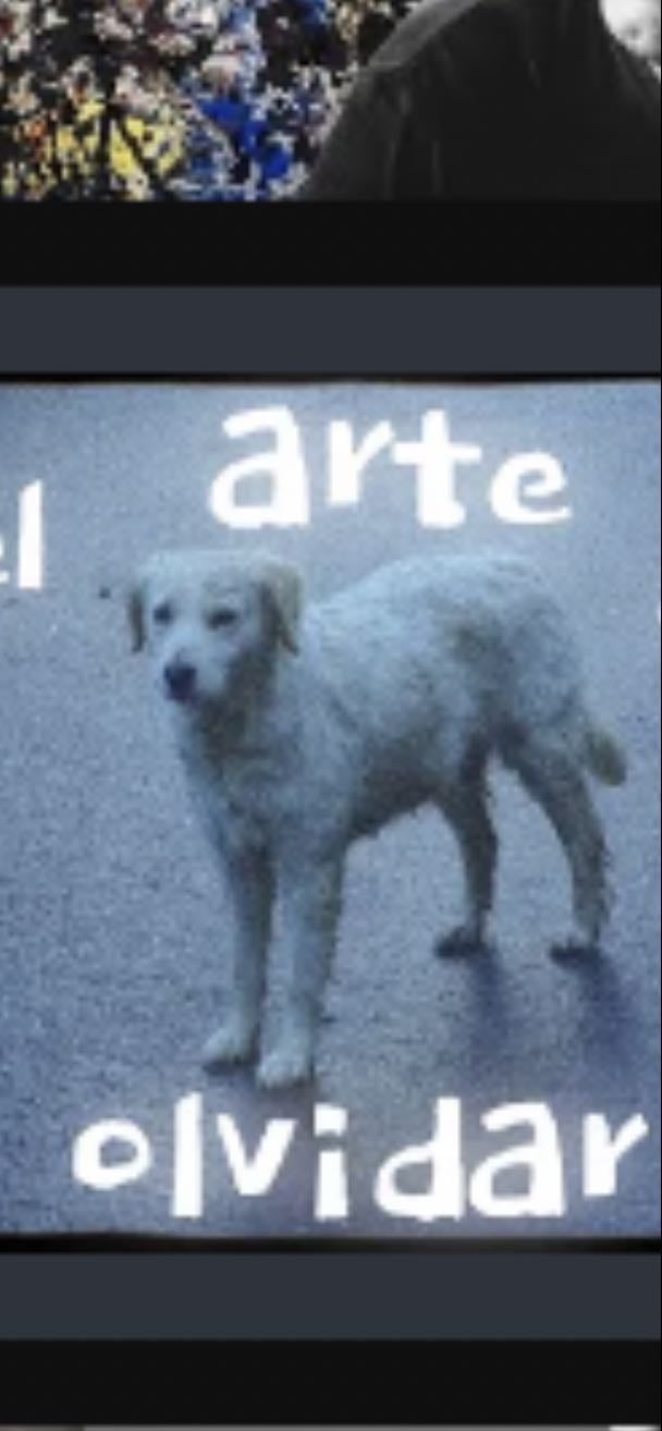 El arte de olvidar - @junglanspaul