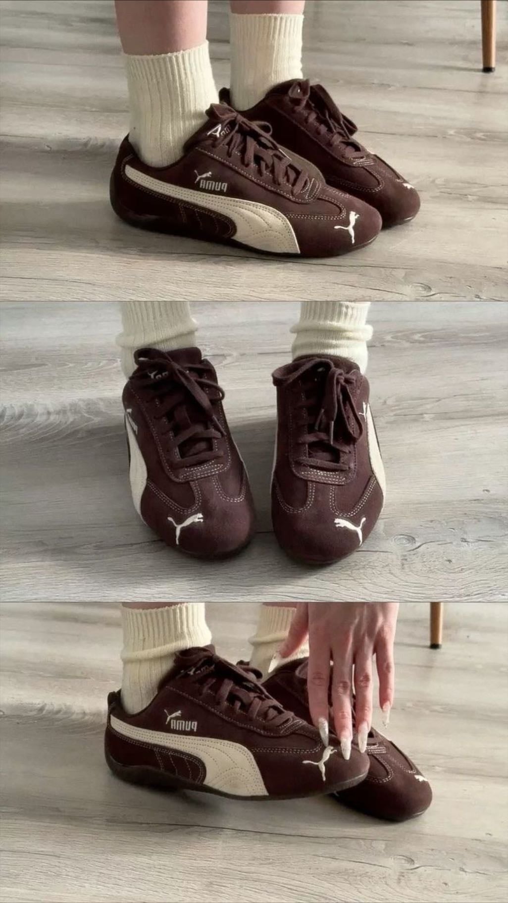 brown pumas