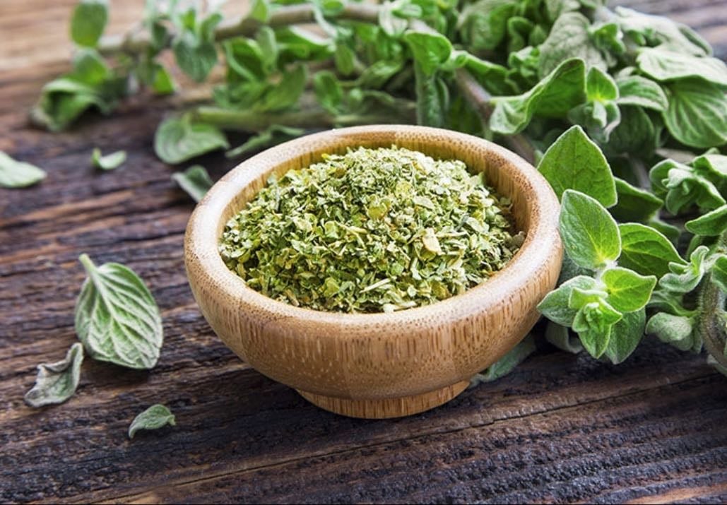 oregano