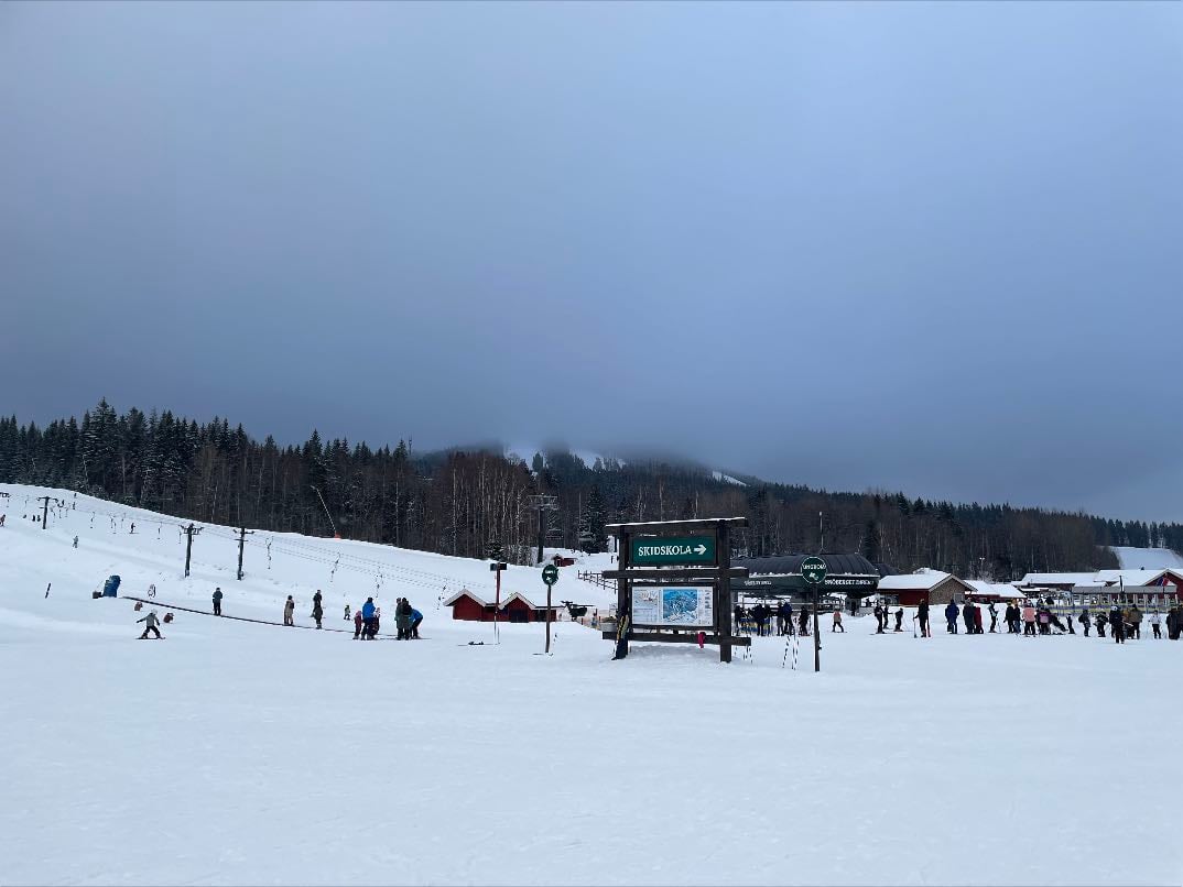 romme alpin