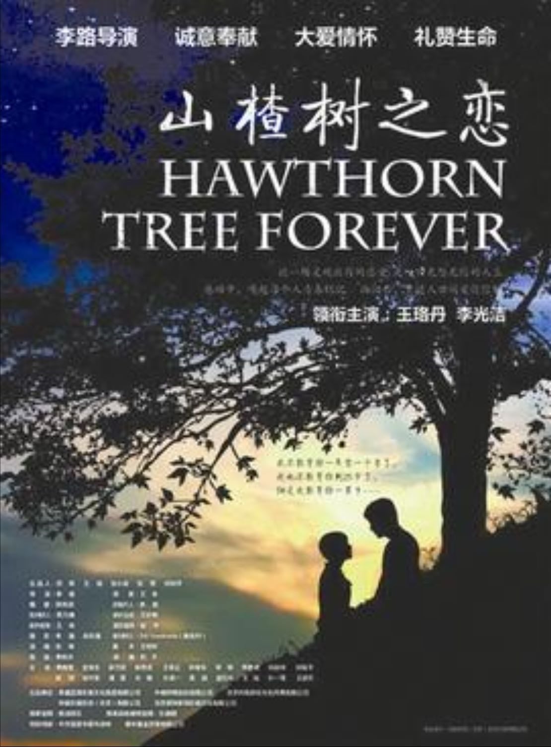 Under the hawthorn tree🥺🇨🇳(movie) 山楂树之恋 - Zhang Yimou · 2010