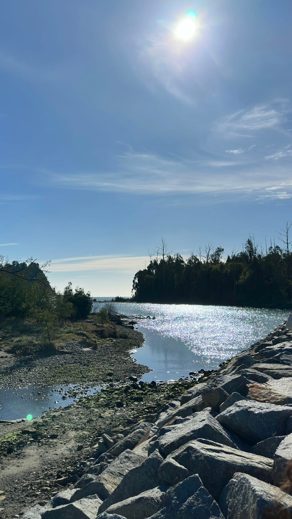 Isla Orrego
