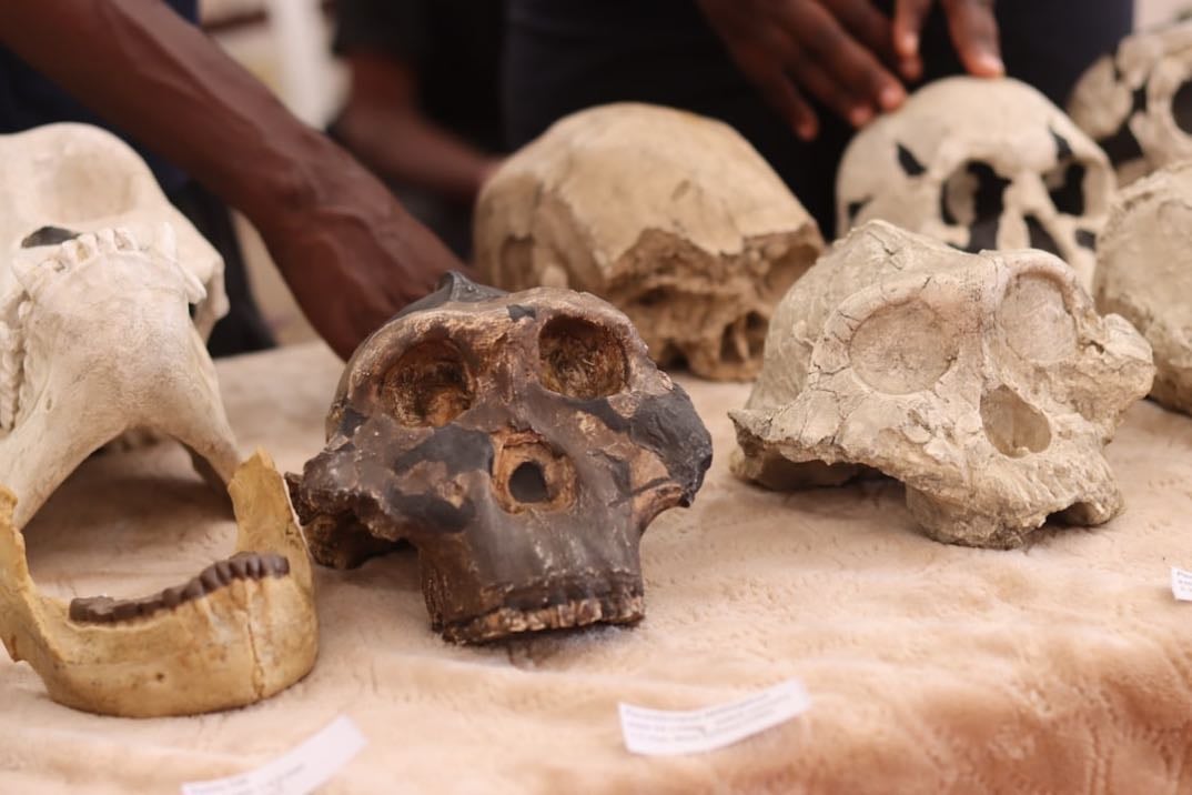 Smithsonian Institute - Human Origins
