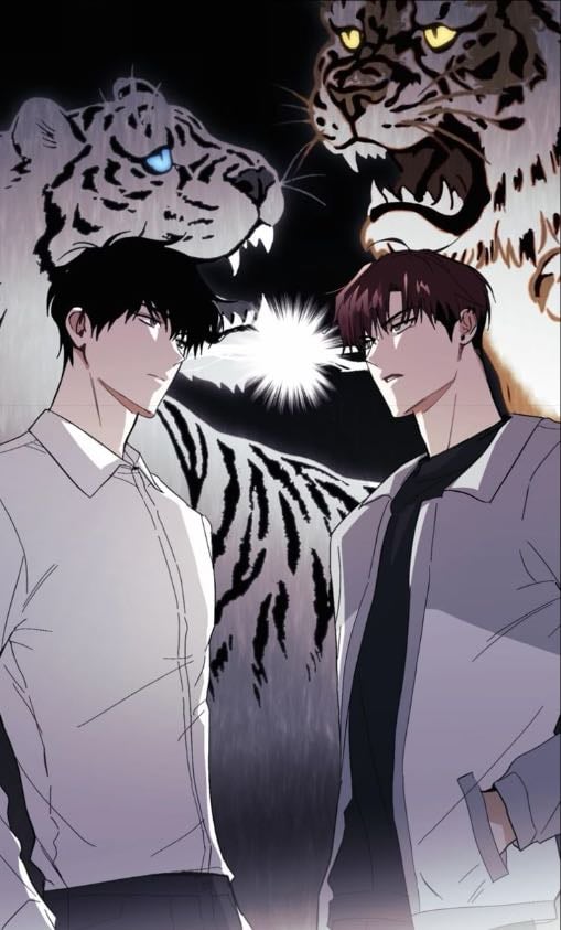 Tiger vs Tiger
