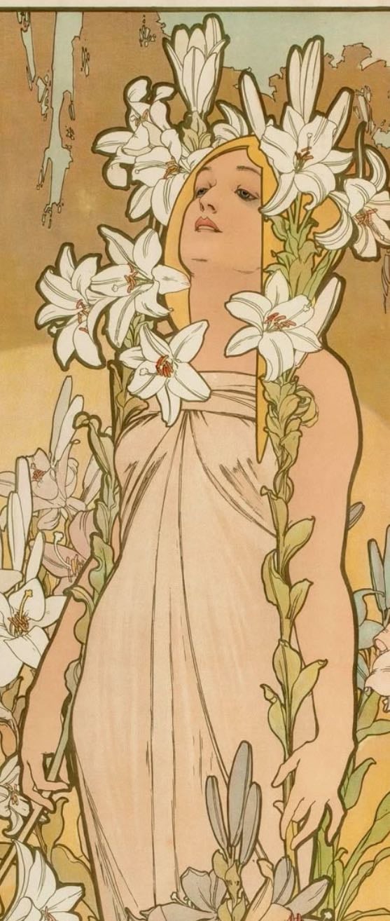 Mucha