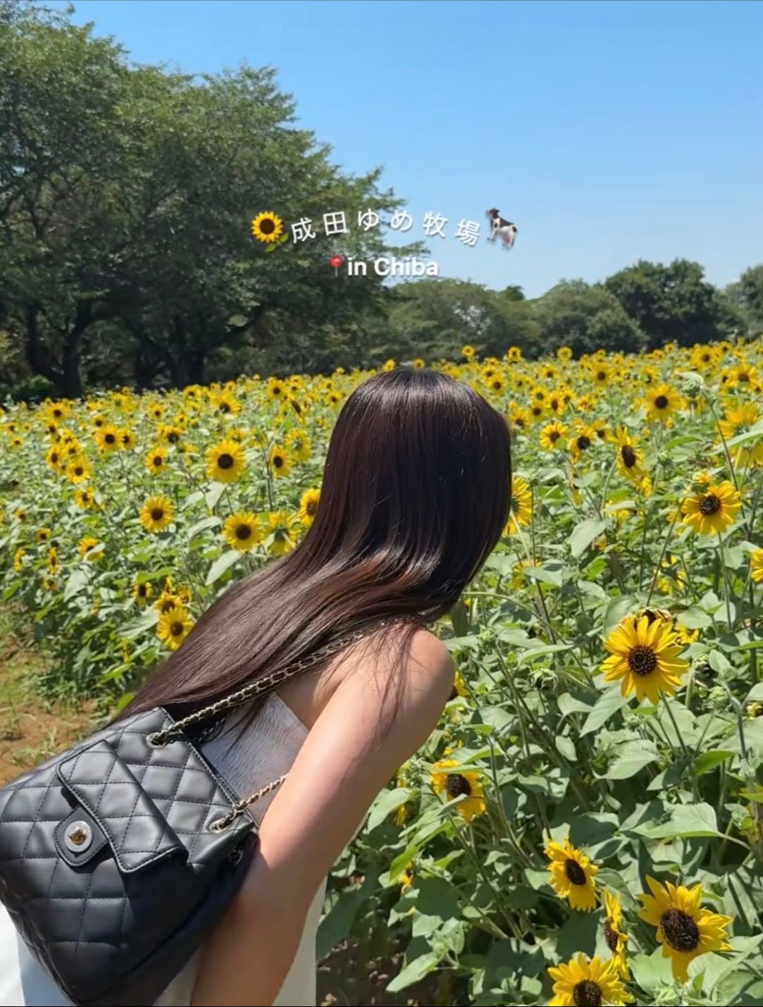 成田ゆめ牧場