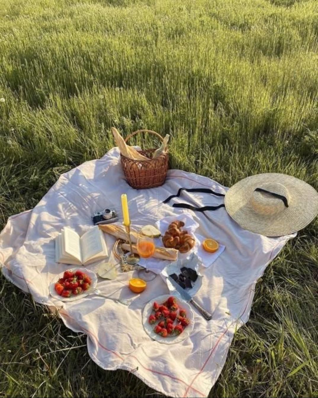 picnics ₊˚⊹ ᰔ - dulces