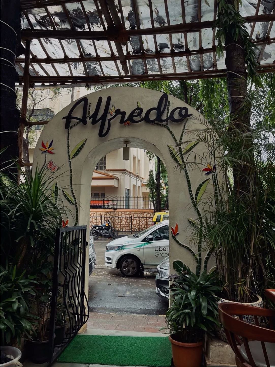 alfredo
