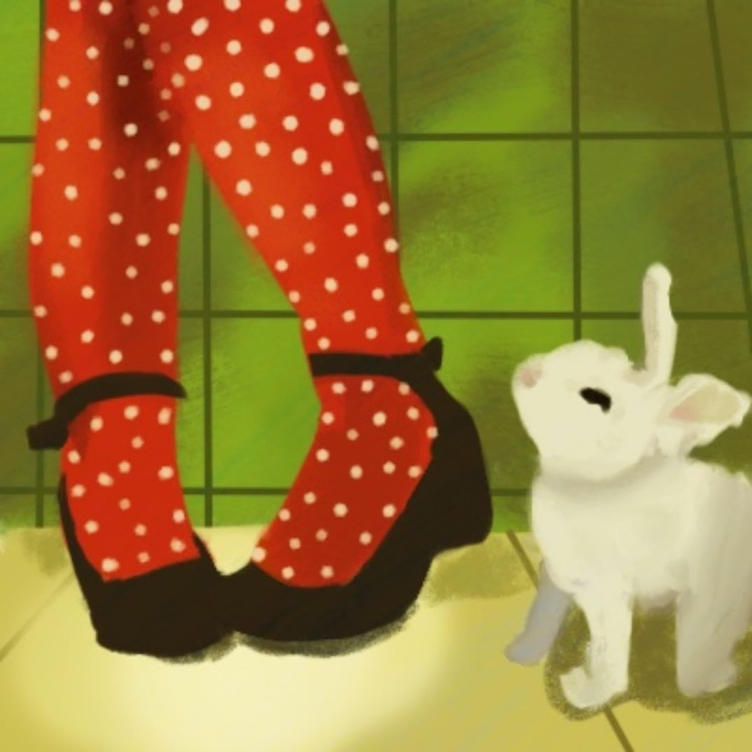 bunny and polka dot tights